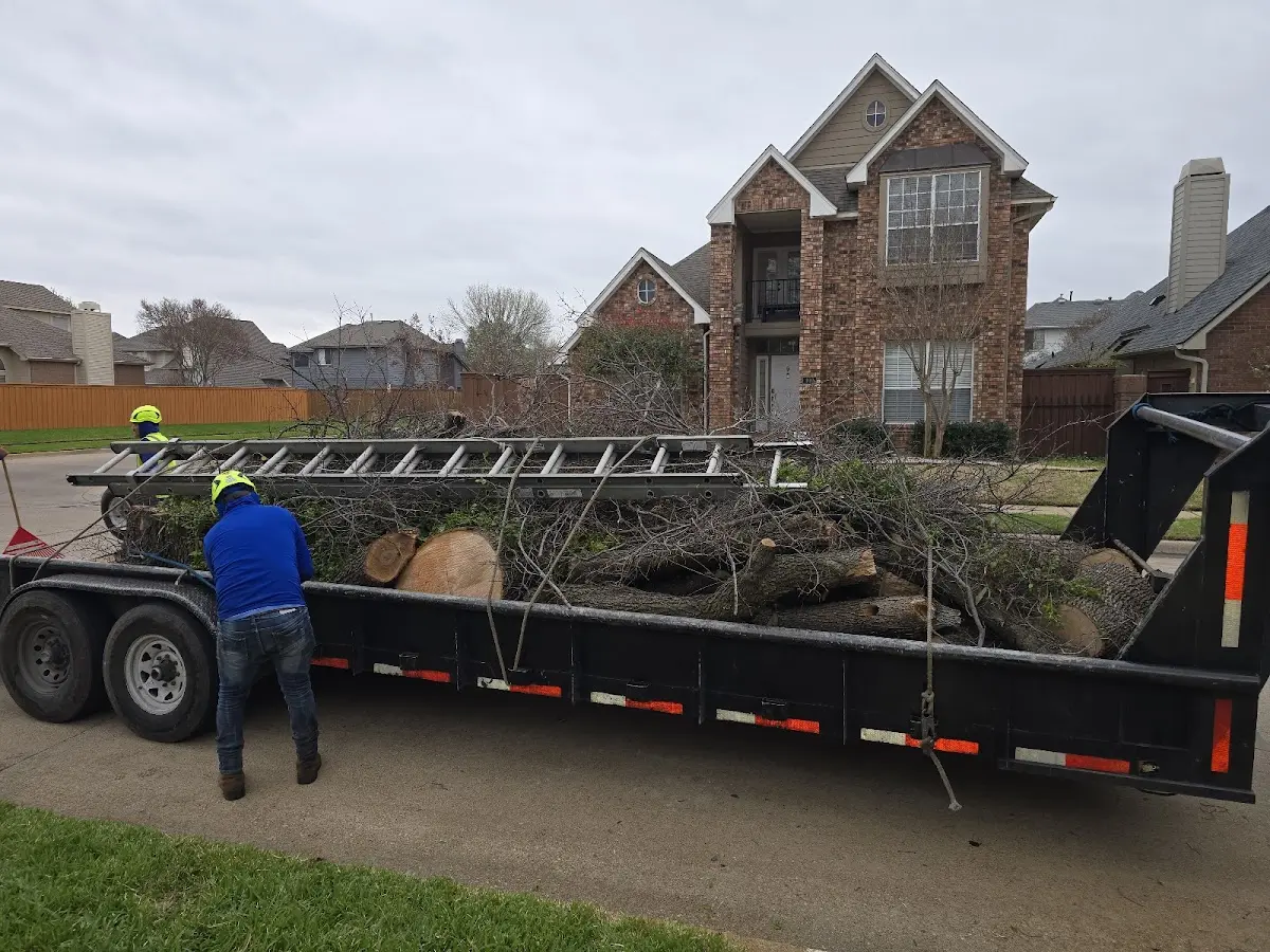 Expert Lot Clearing with proper safety equipment in Piedmont
